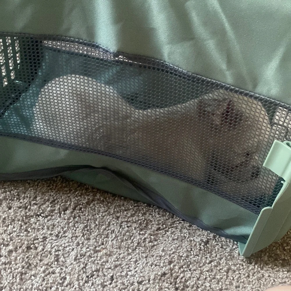 dog crate